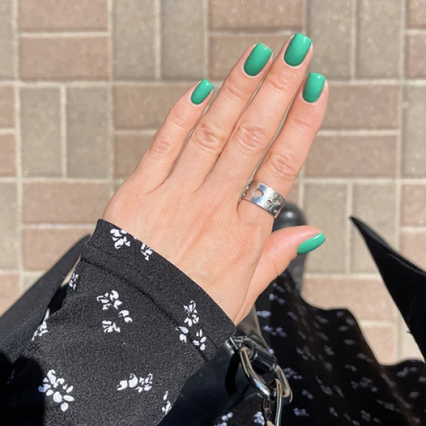 Gel polish - fern #264